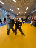 IMG_5290