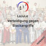 1_241109_SHJJV_LaJuLe