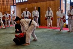 86cbbf5b-a29c-470f-ac08-b34d6d141f06