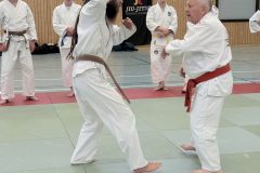 Prüferlizenz- und Verlängerungslehrgang Jiu-Jitsu 2026