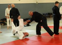 DSC09560a