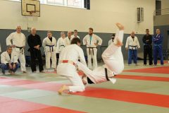 DSC09564a